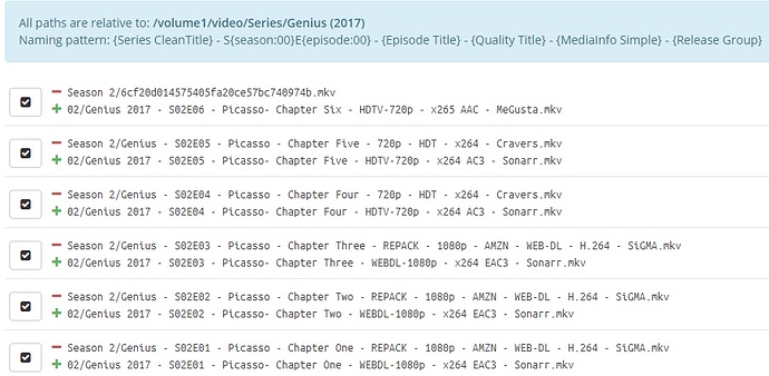 Sonarr release group